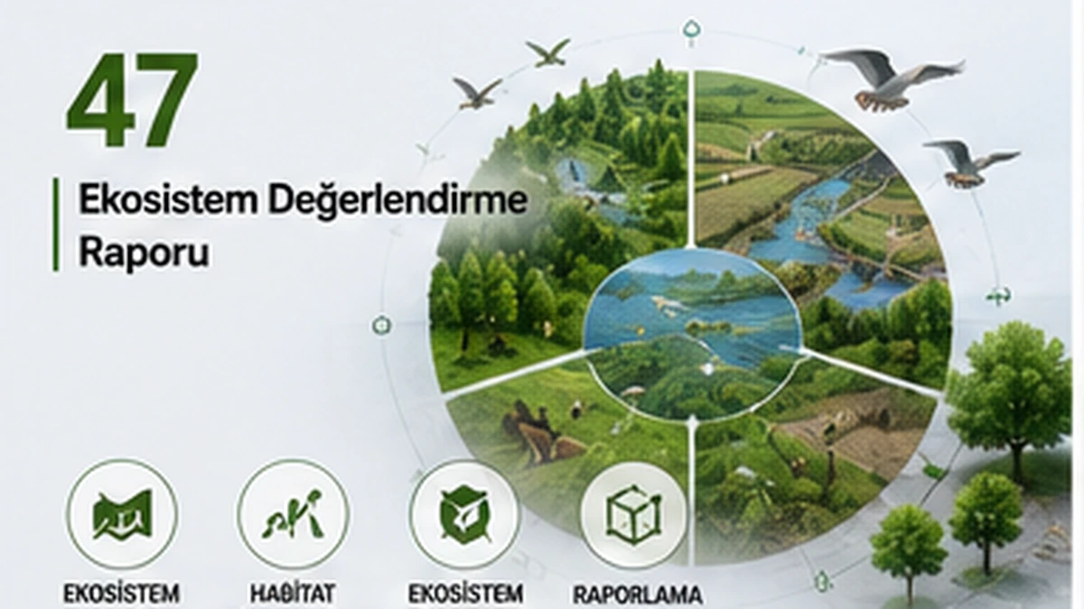 Teknik harita ve mühendislik raporlama görseli